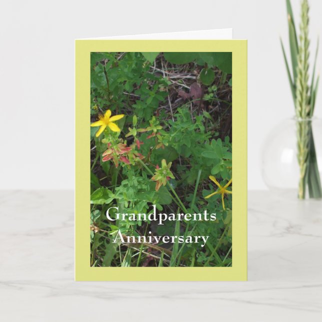 Grandparents Anniversary Folded Greeting Card (Front)