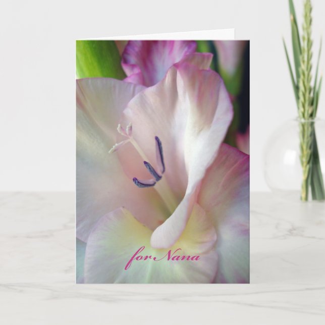 Grandparents Day for Nana, Pink Gladiolus Photo Card (Front)