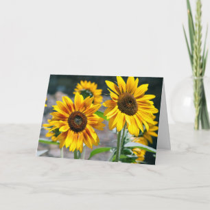 Grandparents Day greeting card