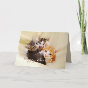 Grandson Happy Birthday Trio of Kittens Card