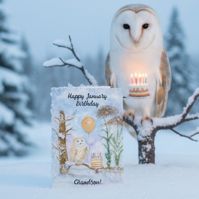 Grandson Happy January Birthday Owl Cake Card (Creator Uploaded)