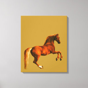 Grandson of the Godolphin Arabian Canvas Print