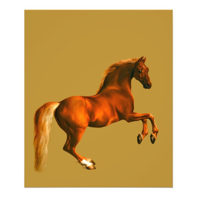 Grandson of the Godolphin Arabian Photo Print (Front)