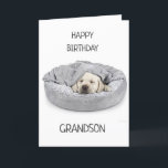 GRANDSON ON BIRTHDAY! CARD<br><div class="desc">THANK U FOR STOPPING BY ONE OF MY EIGHT STORES!!!!</div>