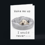 GRANDSON ON BIRTHDAY! CARD<br><div class="desc">THANK U FOR STOPPING BY ONE OF MY EIGHT STORES!!!!</div>