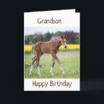 *GRANDSON* YOUR BIRTHDAY IS A SPECIAL DAY CARD<br><div class="desc">THANK U FOR STOPPING BY 1 OF MY 8 STORES!</div>