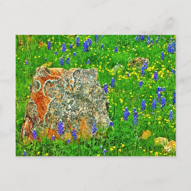 Granite and Wildflowers on Willow City Loop Postcard (Front)
