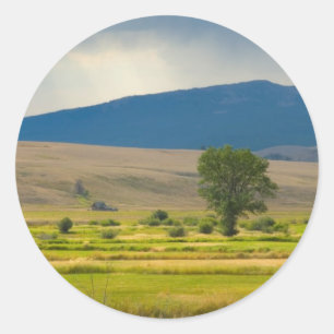 Granite County Montana Classic Round Sticker