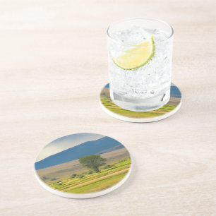 Granite County Montana Coaster