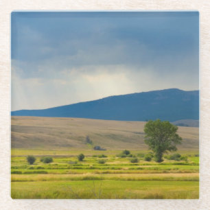 Granite County Montana Glass Coaster
