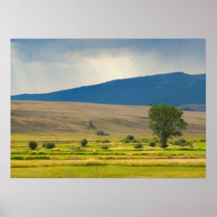 Granite County Montana Poster