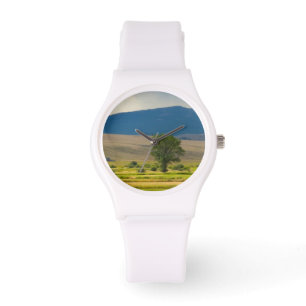 Granite County Montana Watch