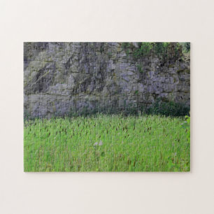 Granite Quarry Rock Cliff Wall Cattails Nature  Jigsaw Puzzle
