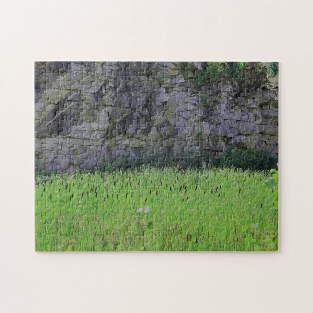 Granite Quarry Rock Cliff Wall Cattails Nature  Jigsaw Puzzle (Horizontal)