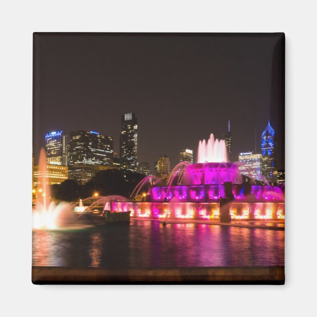 Grant Park Chicago Magnet (Front)