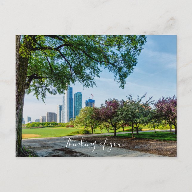 Grant Park Morning Walk Thinking Of You Postcard (Front)
