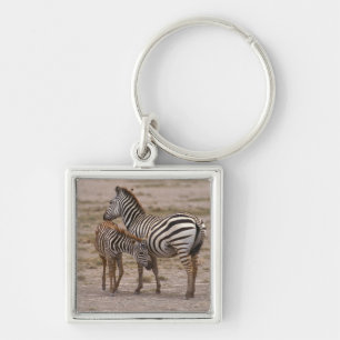 Grant Zebra 3 Key Ring