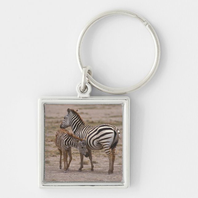 Grant Zebra 3 Key Ring (Front)