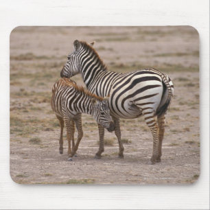 Grant Zebra 3 Mouse Pad