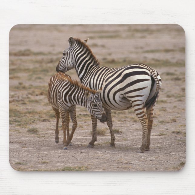 Grant Zebra 3 Mouse Pad (Front)