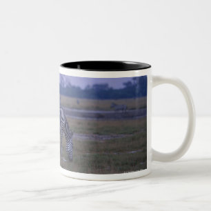 Grant Zebra 3 Two-Tone Coffee Mug