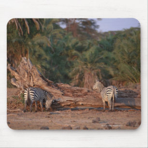 Grant Zebra 5 Mouse Pad