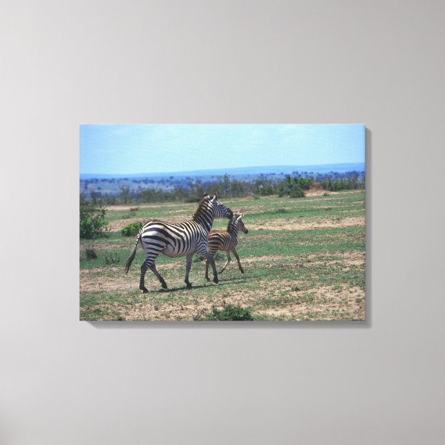 Grant Zebra Canvas Print (Front)