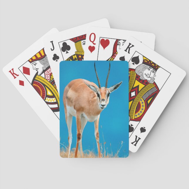 Grant's Gazelle (Gazella Granti) Ewe Portrait Playing Cards (Back)