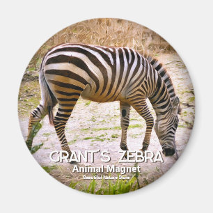 Grant's zebra マグネット magnet
