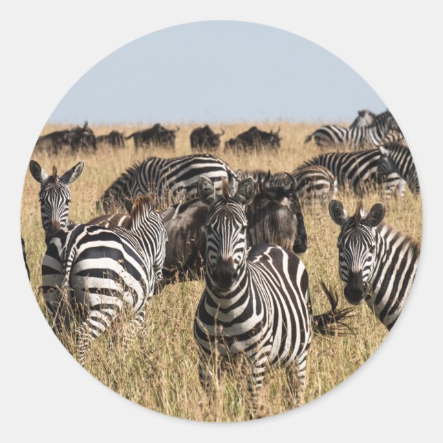 Grant's Zebra Classic Round Sticker (Front)
