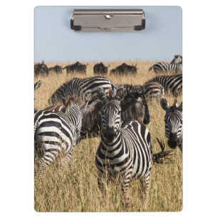 Grant's Zebra Clipboard