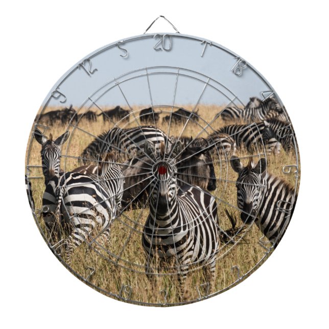 Grant's Zebra Dartboard (Front)