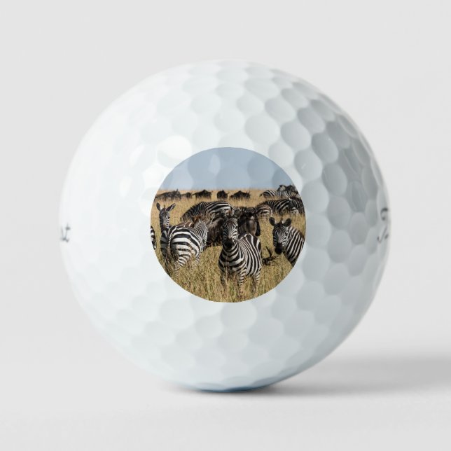 Grant's Zebra Golf Balls (Front)