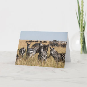 Grant's Zebra Greeting Card