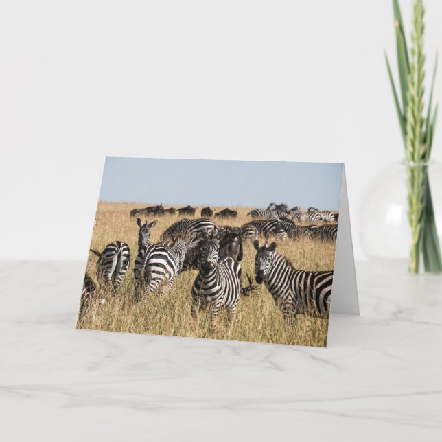 Grant's Zebra Greeting Card (Front)