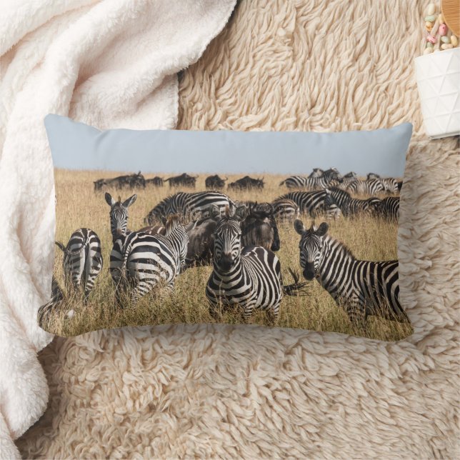 Grant's Zebra Lumbar Pillow (Blanket)