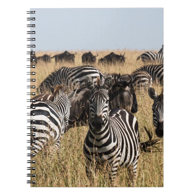 Grant's Zebra Notebook (Front)