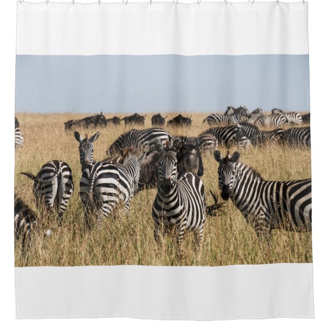 Grant's Zebra Shower Curtain (Front)