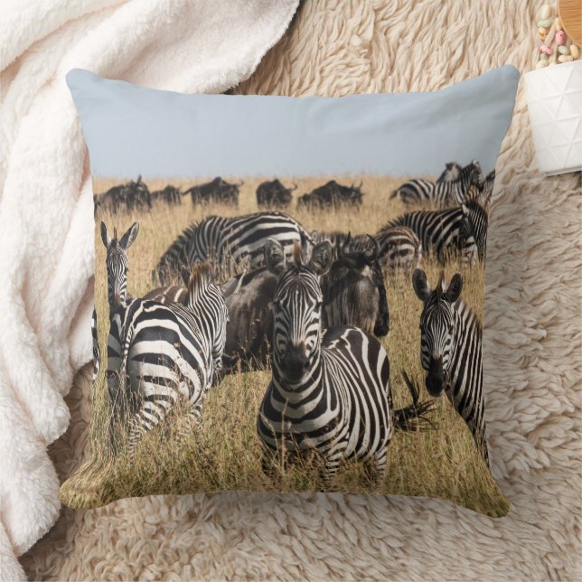 Grant's Zebra Throw Pillow (Blanket)