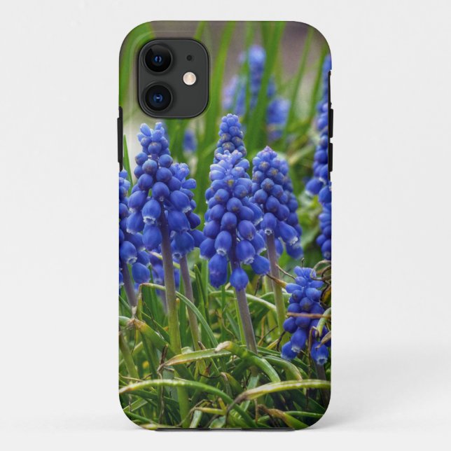 Grape Hyacinth Case-Mate iPhone Case (Back)