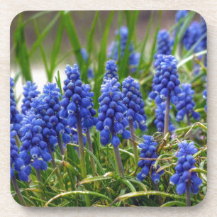 Grape Hyacinth Coaster