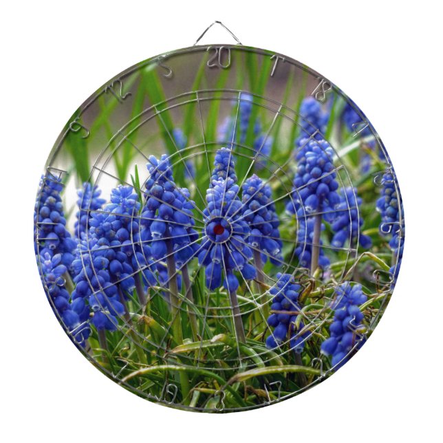 Grape Hyacinth Dartboard (Front)
