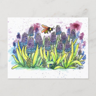 Grape Hyacinth Holiday Postcard