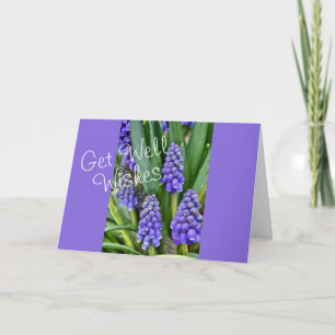 Grape Hyacinths - customize for any occasion Card