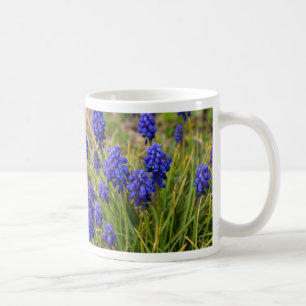 Grape Hyacinths Family Coffee Mug