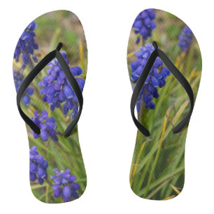 Grape Hyacinths Family Jandals