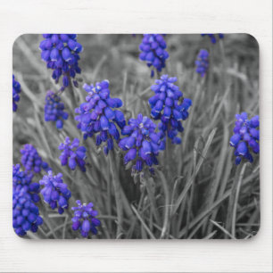 Grape Hyacinths Family Select Mouse Pad
