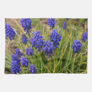 Grape Hyacinths Family Tea Towel