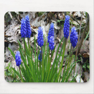 Grape Hyacinths.... Mouse Pad