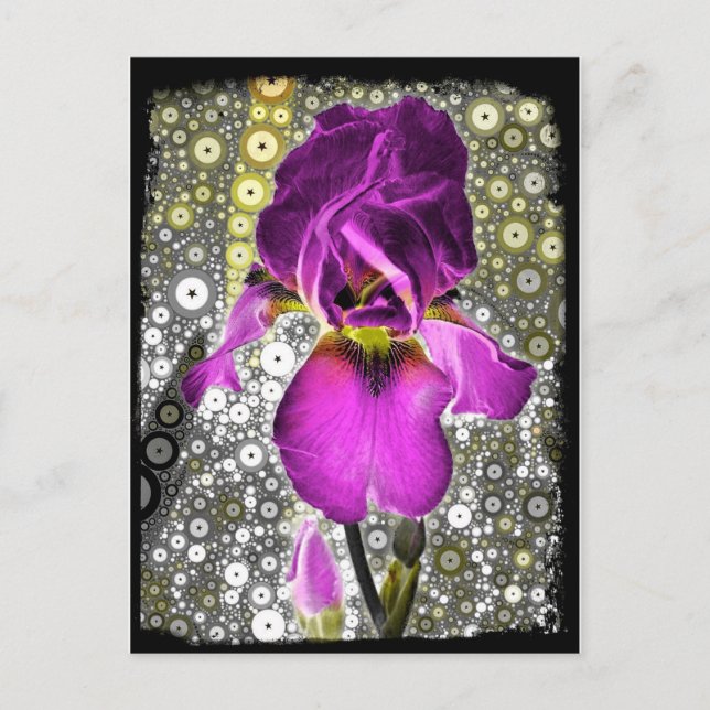 Grape Iris Postcard (Front)